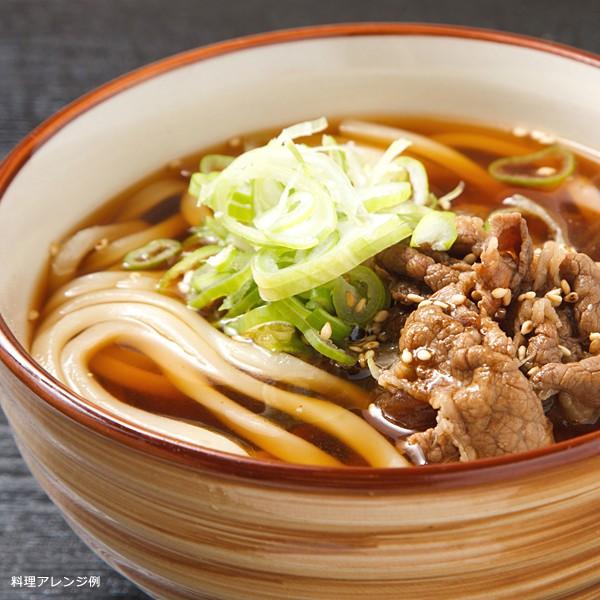 讃岐うどん 饂飩 さぬき つゆ だし 四国 香川 製麺所 送料無料