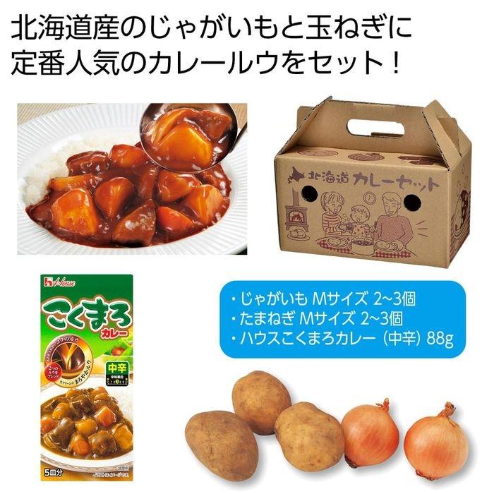 2564430 北海道野菜 プレシャスカレーセット
