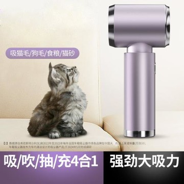 車載吸塵器車用無線充電吸吹兩用家用小型迷你手持汽車車內大功率