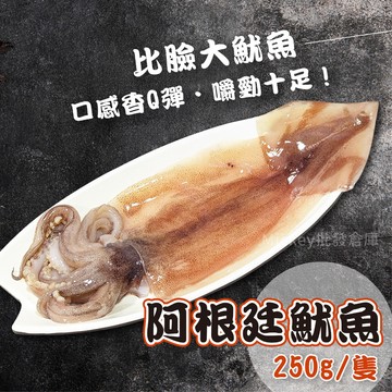 【阿凱の冰箱】阿根廷比臉大魷魚 魷魚 250g/隻