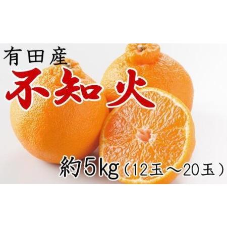 ふるさと納税 有田の不知火約5kg（12〜20玉）★2024年２月上旬頃より順次発送 和歌山県有田川町