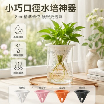 台灣出貨 小口徑水培定植籃 透氣不傷根支架 綠蘿紅薯大蒜固定器 8cm細口花瓶專用
