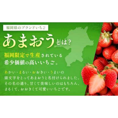 ふるさと納税 あまおう 約280g×2パック 苺 イチゴ いちご 果物 フルーツ 福岡県遠賀町