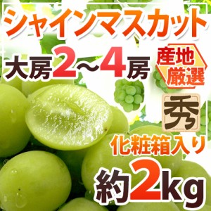 ”シャインマスカット” 秀品 大房限定 2～4房 約2kg 化粧箱入り 産地厳選[K2] 送料無料