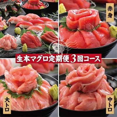 ふるさと納税 越前町 生本まぐろ3種各150g全3回