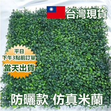 台灣現貨 抗UV仿真植物牆 加密加高款 植栽牆 防水防曬米蘭 聖誕節店面裝飾 假植物 植生牆 植物牆 假花 假草寶來小舖