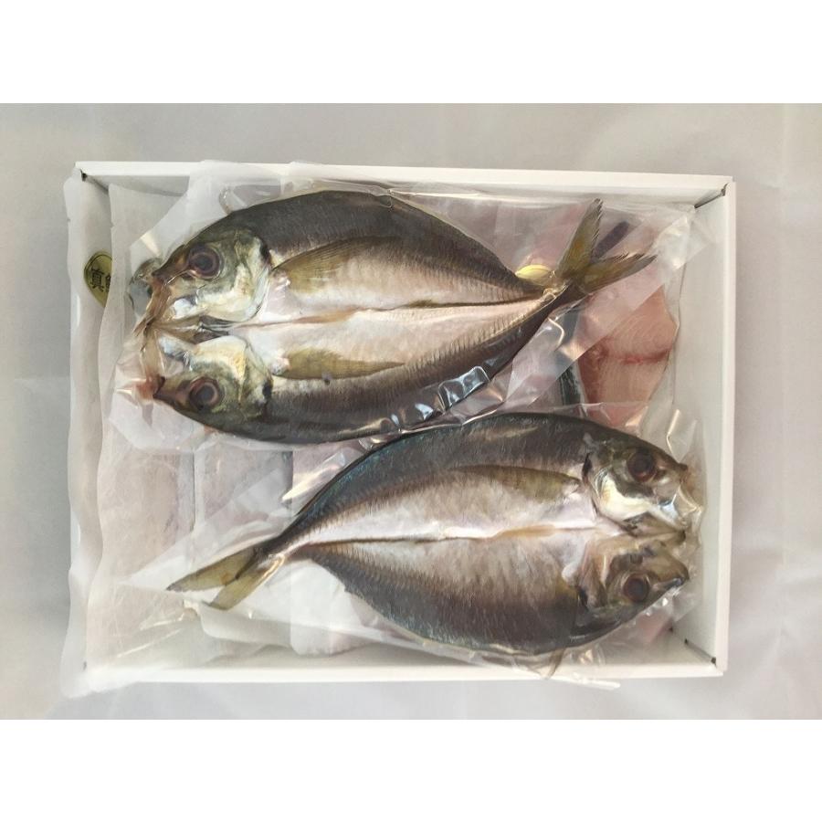 美味旨味干しセット　愛媛県産 ギフト お取り寄せグルメ 冷凍食品 一夜干し 海鮮 手土産 海の幸