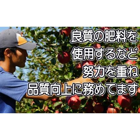 ふるさと納税 訳あり品 パリっと！！葉とらずふじ 約10kg 青森県弘前市