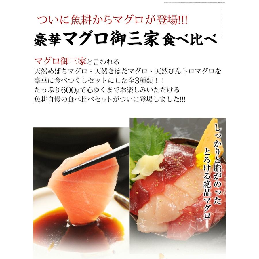 マグロ刺身 まぐろ 御三家食べ比べセット たっぷり6人前 600g 刺身盛り合わせ お刺身セット 鮪 プレゼント お歳暮 2023 ギフト