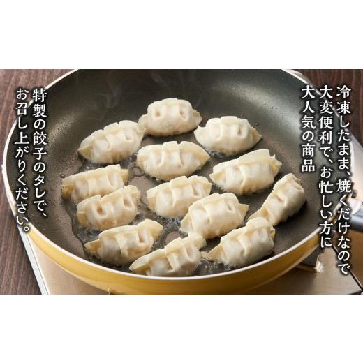 ふるさと納税 福岡県 福岡市  博多一口餃子、黒豚焼餃子、点心包子、特製 餃子のタレ付き