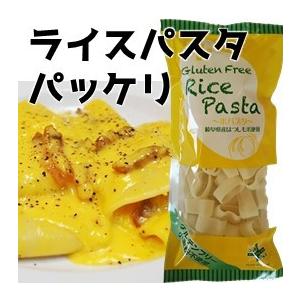 米粉パスタセット（グルテンフリー） (送料無料）アレルギー特定原材料27品目不使用