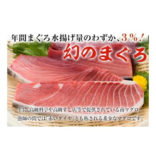 ふるさと納税 鹿児島県 いちき串木野市 A-1274 南マグロ味わいセット  中トロ約200g×赤身約200g