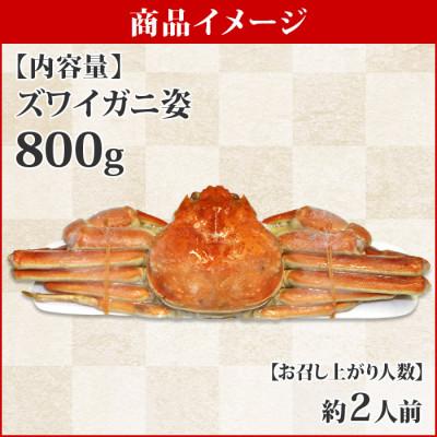 ふるさと納税 弟子屈町 ズワイガニ姿ボイル済み 800g前後 蟹ハサミ・ガイド付 北海道 弟子屈町 1719