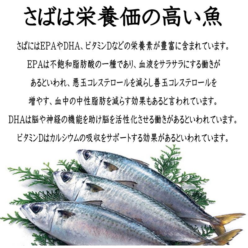 さば文化干し 鯖の干物 6枚(特大サイズ1枚当たり約170g)脂のっています