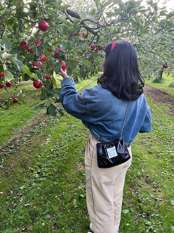 Wyllabrand 帆布包｜Squid ink Ravioli 包款