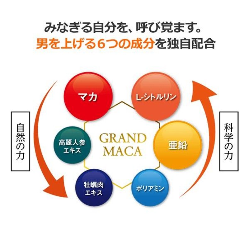 お値下げ不可‼️青パパイヤ酵素EX 360粒 大容量パック - 通販