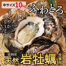 延岡産天然岩牡蠣(生食用)10kg(中)