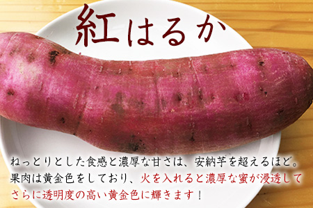 熊本県大津町産 タカハマ観光農園の紅はるか 約5kg(S~Lサイズの混合)《12月中旬-4月末頃より順次出荷》 さつまいも 芋 スイートポテト 干し芋にも
