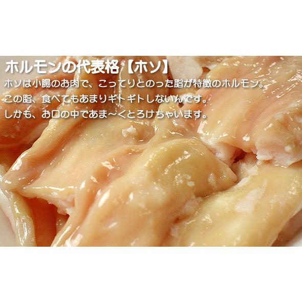 黒毛和牛 ホルモン 小腸 ホソ シロ 1kg 送料無料 新鮮 牛ホルモン 栄養満点 大トロホルモン メガ盛り