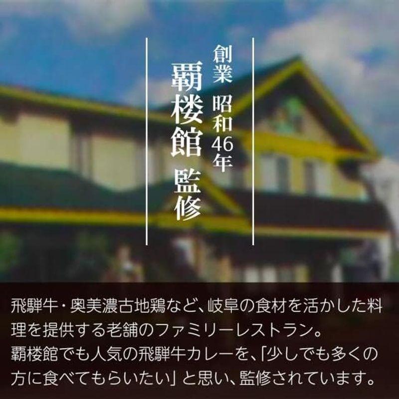 覇楼館 監修 飛騨牛100％ 飛騨牛カレー［中辛］（2人前） ビーフカレー 飛騨牛 牛肉  