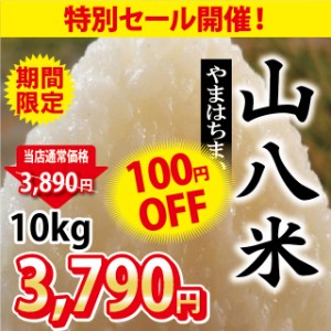 当店人気No.1 山八米 10kg お米 ※九州は送料別途500円・沖縄は送料別途1000円