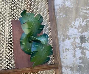 龜背芋 軟裝設計 植栽壁掛 家飾藝術