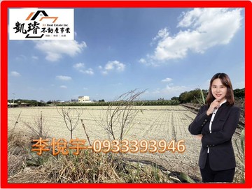 屏東市崁頂路上｜雙面路｜方正農地｜屏東縣屏東市新興段