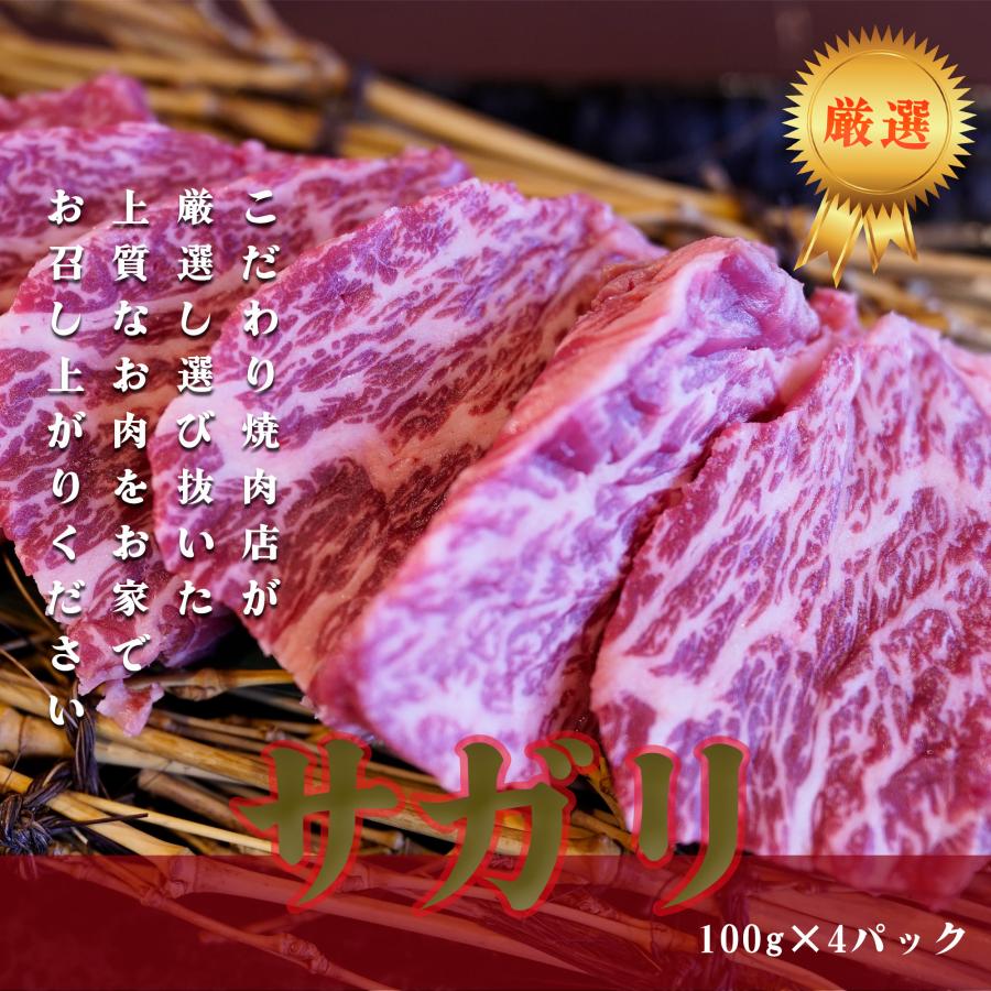 牛肉 サガリ ハラミ 焼肉 ステーキ BBQ ホルモン バーベキュー 厚切り 柔らかい 個包装 100ｇ×4