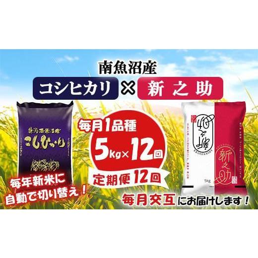 ふるさと納税 新潟県 南魚沼市 南魚沼産コシヒカリ・新之助5kg×12回