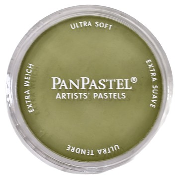 PANPASTEL 軟質藝術家盤粉彩餅 專家級  1色  1個