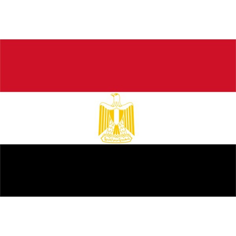 外国旗】エジプト・アラブ共和国国旗（テトロントロピカル） サイズ：70×105cm【領収書発行】 通販 LINEポイント最大0.5%GET  LINEショッピング