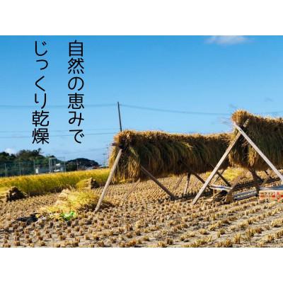 ふるさと納税 糸島市 天日干し ひのひかり2kg