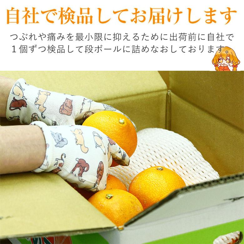 安心の自社検品 送料無料 愛媛県産 あいか 愛果 紅まどんな みかん 愛媛みかん 愛まどんな サイズお任せ 約 5kg 国産みかん ご家庭用 愛媛県