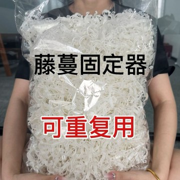 黃瓜西紅柿豆角爬藤綁枝固定夾綠植蔬菜捆綁紮帶藤蔓專用園林工具 藤蔓固定夾 藤蔓固定器 植物固定夾 園藝用品 植物枝條固定