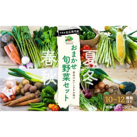 ふるさと納税 おまかせ旬野菜セット 旬 野菜 セット 北海道 北広島市 北海道北広島市