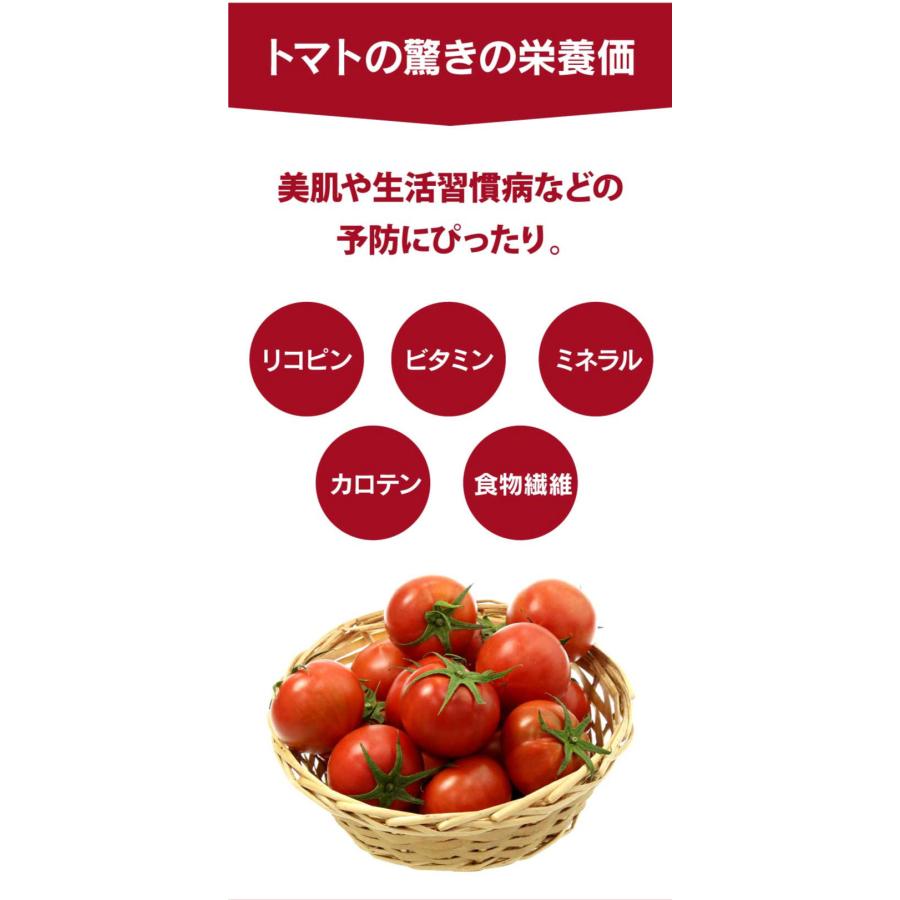 熊本産 塩トマト フルーツトマト 1kg 9〜12玉 送料無料 甘いトマト ＜12月中旬より出荷予定＞ 塩とまと 高糖度 農家直送 大嶌屋（おおしまや）