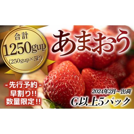 ふるさと納税 MZ041福岡県産 あまおうG以上 1250g 5パック 先行予約 ※2024年2月〜3月末にかけて順次発送予定  福岡県篠栗町