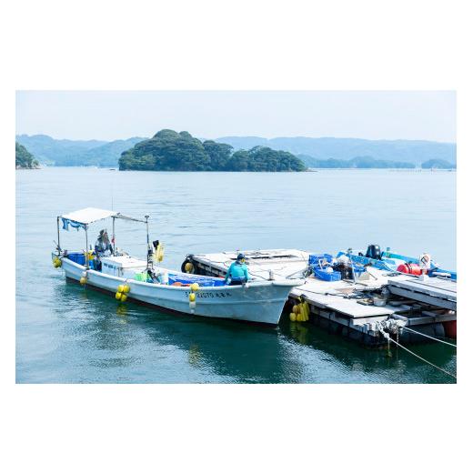 ふるさと納税 佐賀県 玄海町 玄海町産さざえ　1.2kg（5月配送）