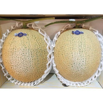 【帕查嬤嬤】日本 靜岡 伊佐見 綠肉 網紋 哈密瓜 2玉原裝箱｜日本靜岡哈蜜瓜禮盒