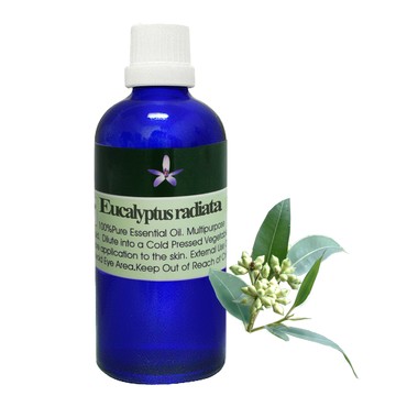 Body Temple純有機尤加利芳療精油100ml