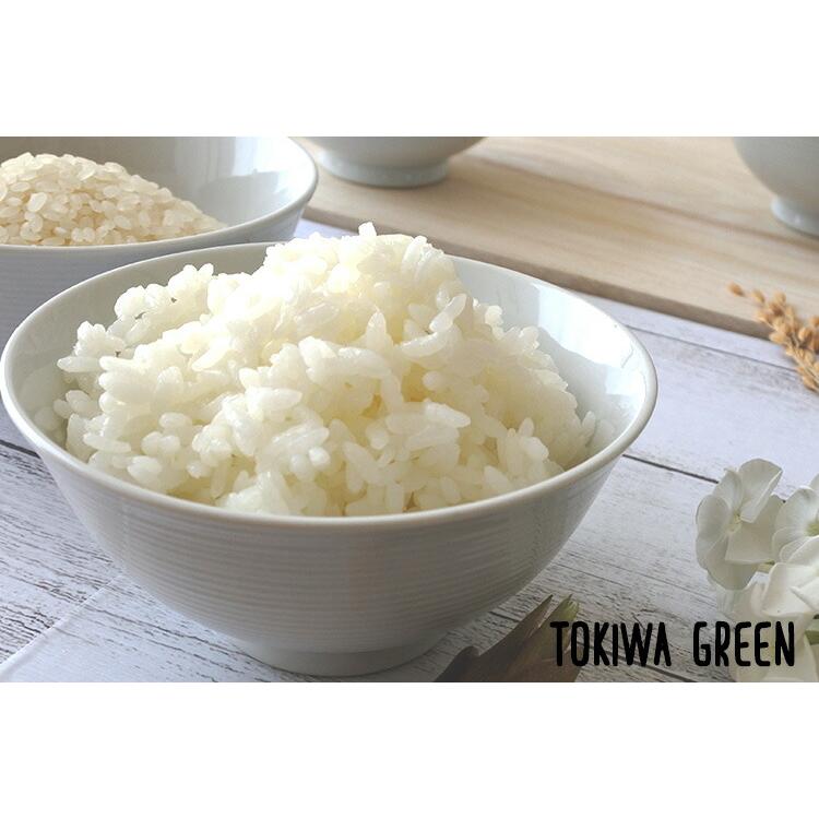 新米 米 5kg 5年産 青森県産 ときわGreen 白米5kg 人気 安い 精米