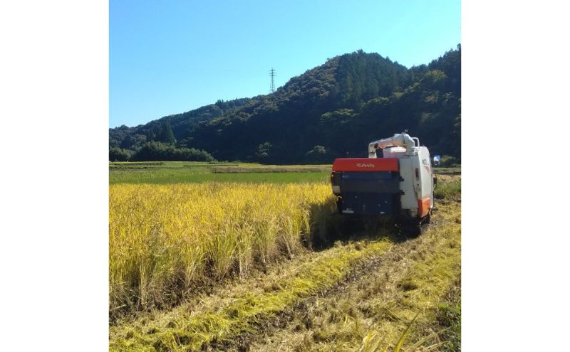 立神米はいごころ（玄米）定期便 5kg 9回お届け 茨城県 大子町 米