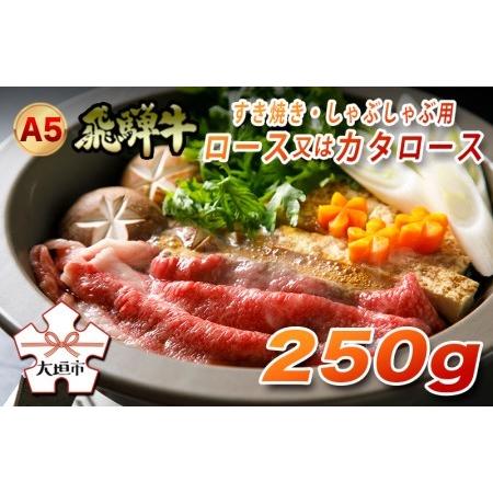 ふるさと納税 A5飛騨牛　すき焼き・しゃぶしゃぶ用　ロース又はカタロース　250g 岐阜県大垣市