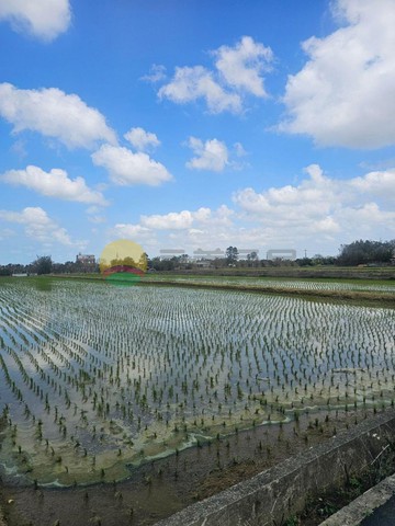 新屋翡翠莊園漂亮農地｜桃園市新屋區下田心子