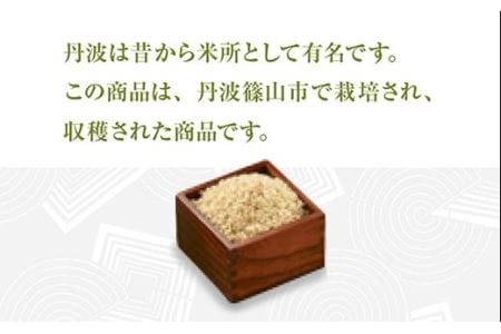 丹波産こしひかり玄米《令和4年度産》3㎏×2 Q003