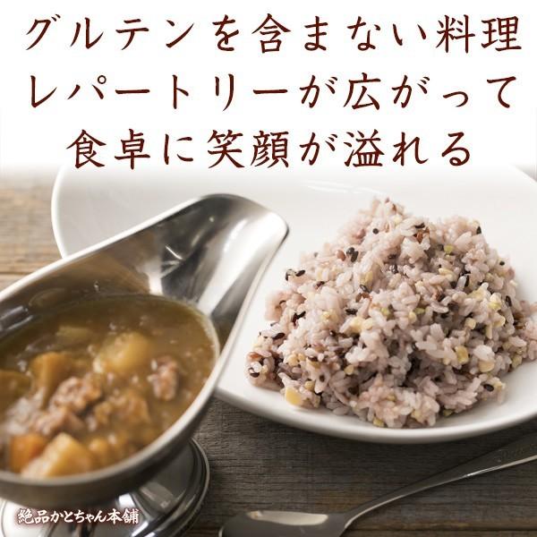 雑穀 雑穀米 国産 グルテンフリー雑穀 450g 送料無料 麦抜き雑穀 アレルギーフリー 麦無し 18穀米 ダイエット食品 雑穀米本舗