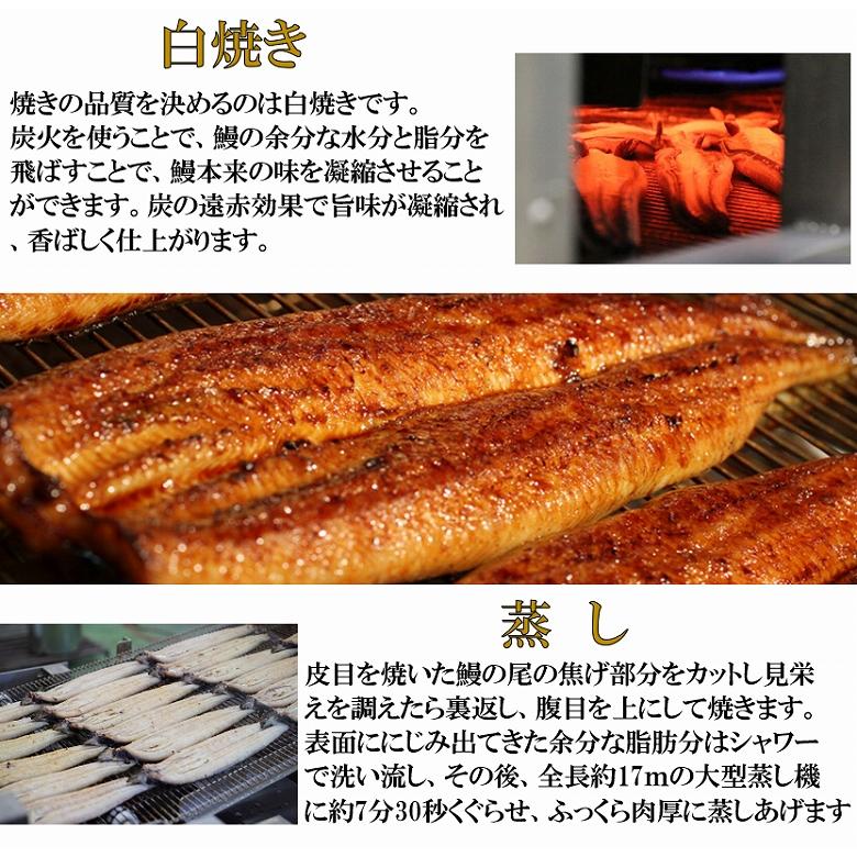 敬老の日 ウナギ うなぎ 蒲焼き 白焼きセット うなぎ蒲焼 鰻白焼き  国産 白焼き 各200ｇ １尾 合計2尾 特大 敬老の日 丑の日