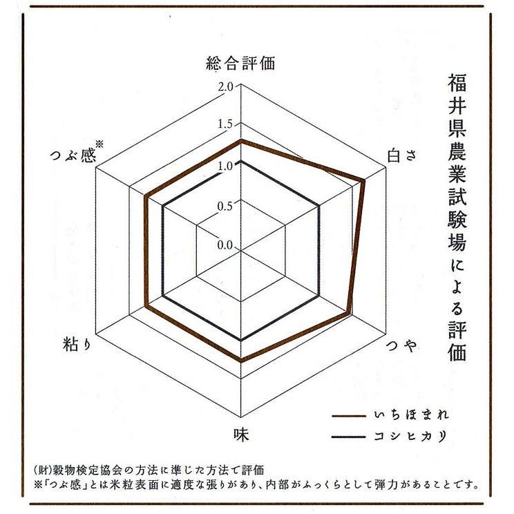 新米 いちほまれ 福井県産 令和5年産 5kg 特別栽培