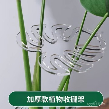 臺灣出貨⚡龜背竹支撐桿花支撐架枝幹收攏架植物防倒伏支架綠植固定神器花架 IUDK