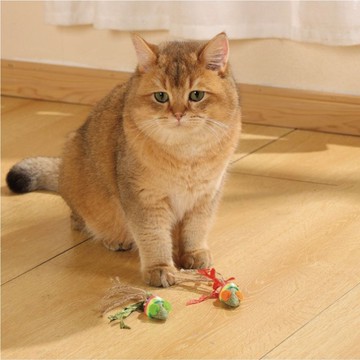 【MPETS】貓咪享受玩樂、追逐的時光! 魅力貓玩具(四款可選)